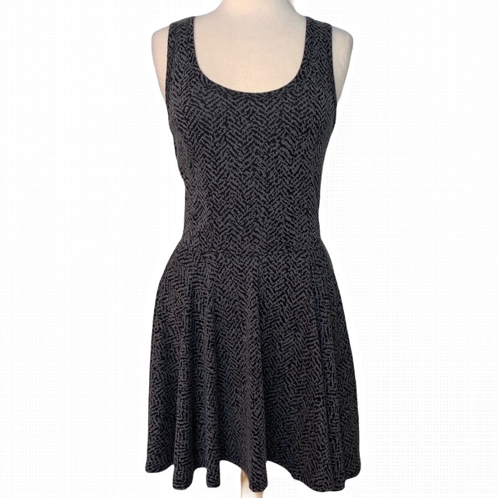 Express Fit & Flare Dress